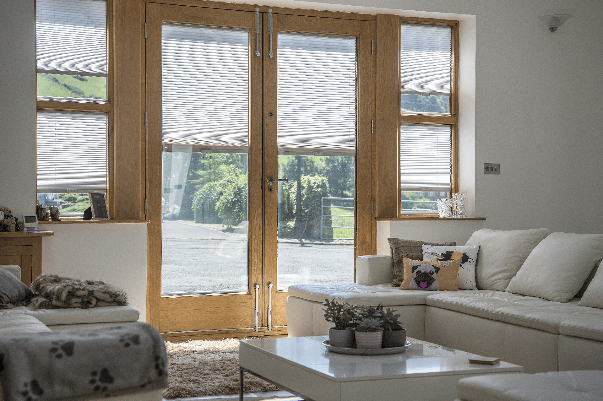 window blinds